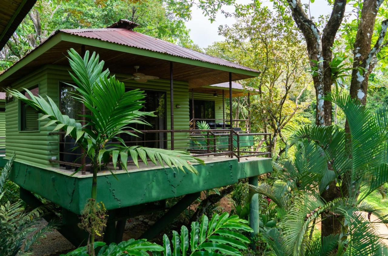 Arbol Verde Villas Ojochal Zewnętrze zdjęcie