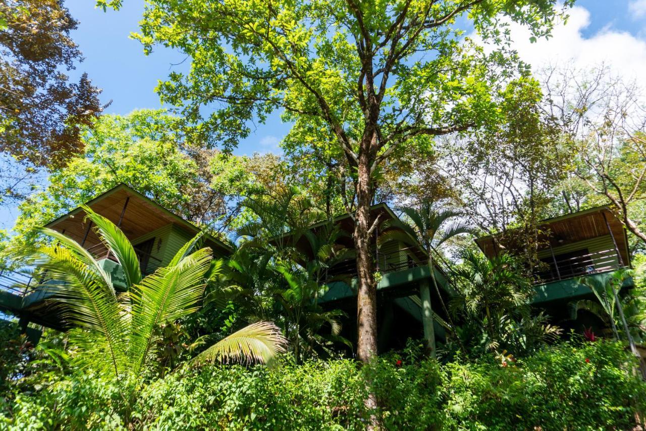 Arbol Verde Villas Ojochal Zewnętrze zdjęcie