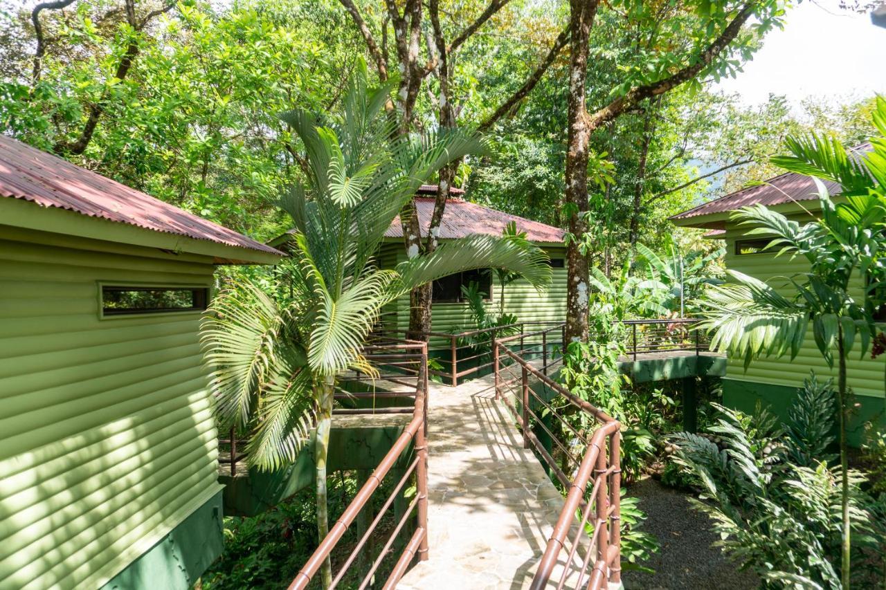Arbol Verde Villas Ojochal Zewnętrze zdjęcie